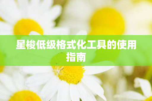 星梭低级格式化工具的使用指南 星梭低级格式化工具的使用指南