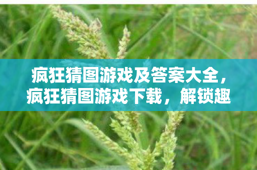 疯狂猜图游戏及答案大全图片