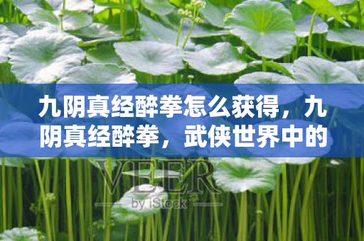 九阴真经醉拳怎么获得图片