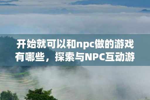 开始就可以和npc做的游戏有哪些，探索与NPC互动游戏的奇妙世界