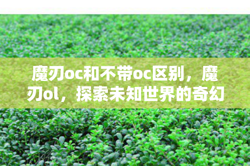 魔刃oc和不带oc区别图片