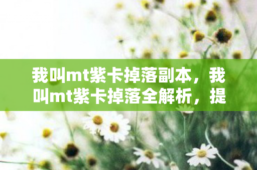 我叫mt紫卡掉落全解析图片
