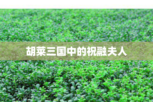 胡莱三国中的祝融夫人 胡莱三国中的祝融夫人
