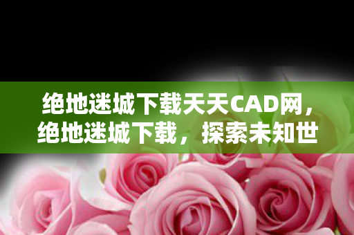 绝地迷城下载天天CAD网图片