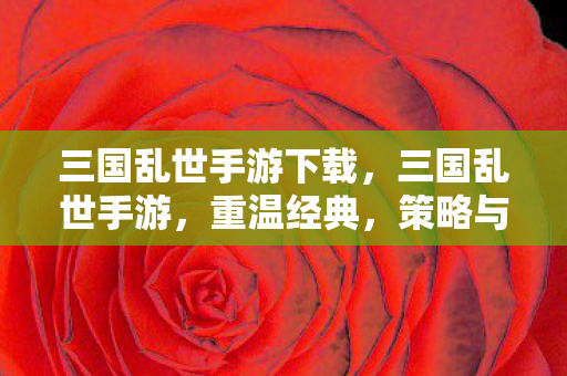 三国乱世手游下载图片