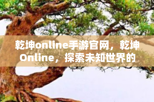 乾坤online手游官网图片