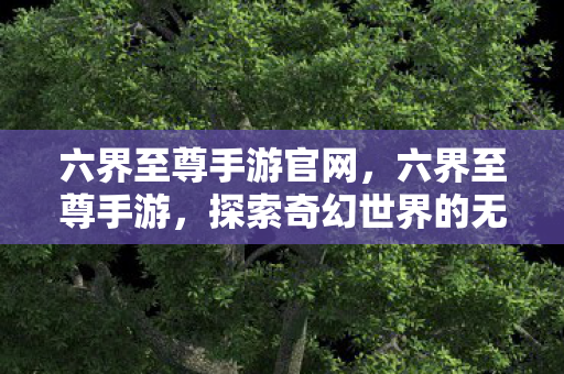 探索奇幻世界的无尽冒险图片