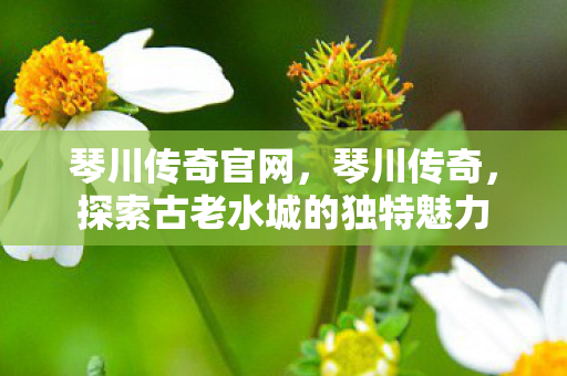 探索古老水城的独特魅力图片