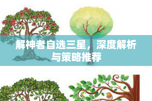深度解析与策略推荐图片
