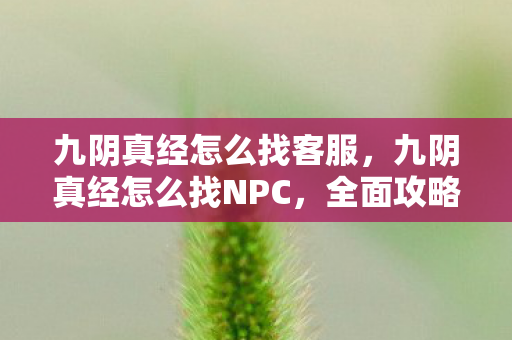 九阴真经怎么找NPC图片