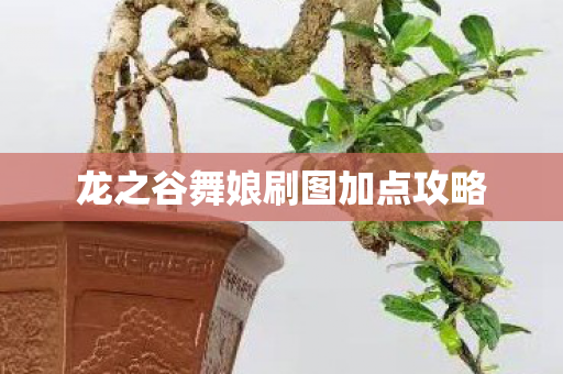 龙之谷舞娘刷图加点攻略 龙之谷舞娘刷图加点攻略