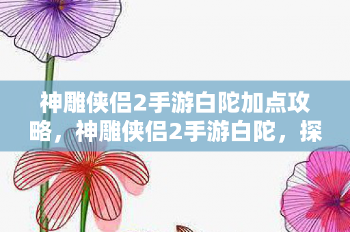 神雕侠侣2手游白陀加点攻略,神雕侠侣2手游白陀,探索武侠世界的奇妙之旅 神雕侠侣2手游白陀加点攻略,神雕侠侣2手游白陀,探索武侠世界的奇妙之旅