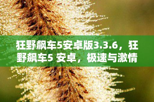 极速与激情的指尖盛宴图片