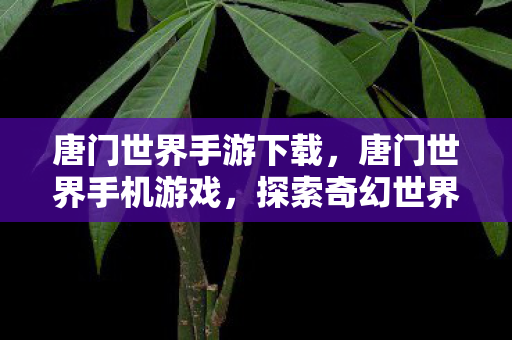 唐门世界手游下载，唐门世界手机游戏，探索奇幻世界的无尽乐趣