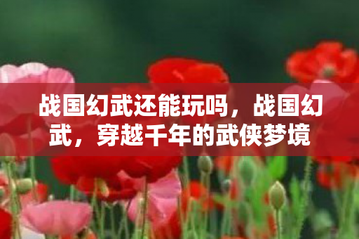 战国幻武还能玩吗，战国幻武，穿越千年的武侠梦境