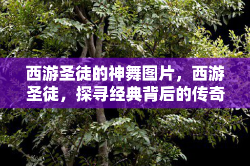 西游圣徒的神舞图片，西游圣徒，探寻经典背后的传奇故事