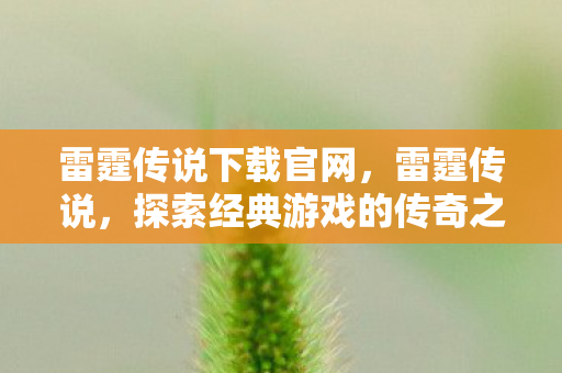 探索经典游戏的传奇之旅图片