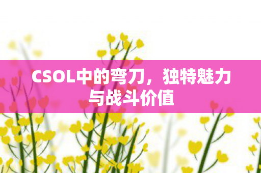 CSOL中的弯刀，独特魅力与战斗价值