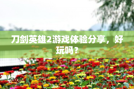 刀剑英雄2游戏体验分享,好玩吗? 刀剑英雄2游戏体验分享,好玩吗?