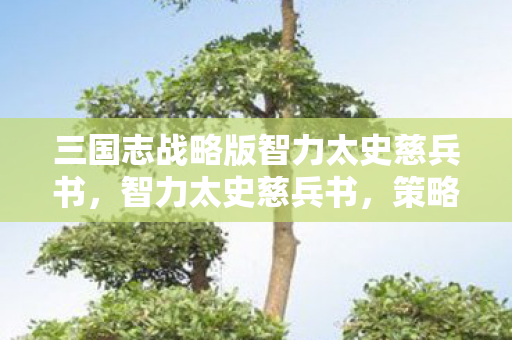 三国志战略版智力太史慈兵书,智力太史慈兵书,策略与智慧的深度剖析 三国志战略版智力太史慈兵书,智力太史慈兵书,策略与智慧的深度剖析