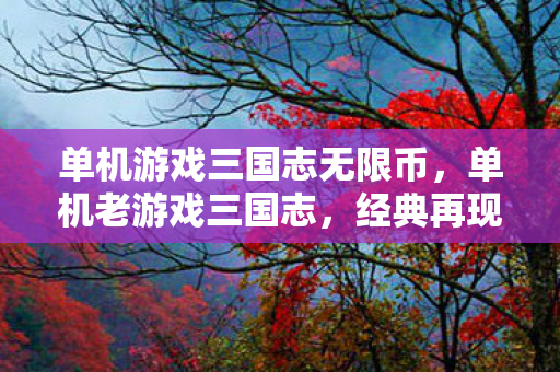 单机游戏三国志无限币图片