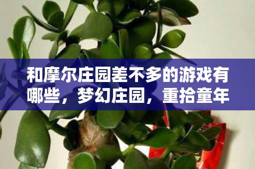 和摩尔庄园差不多的游戏有哪些图片