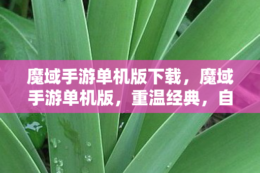 魔域手游单机版下载，魔域手游单机版，重温经典，自由探索的单机之旅