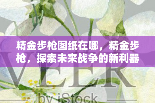精金步枪图纸在哪，精金步枪，探索未来战争的新利器