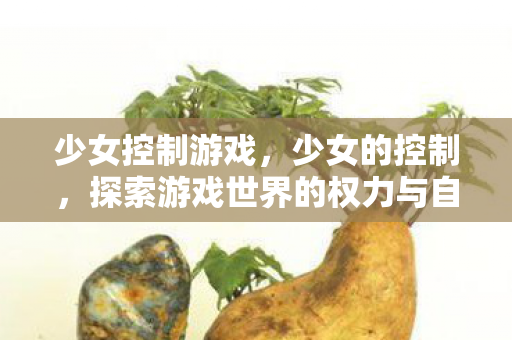 少女控制游戏,少女的控制,探索游戏世界的权力与自由 少女控制游戏,少女的控制,探索游戏世界的权力与自由