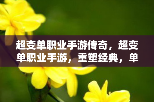 超变单职业手游传奇图片