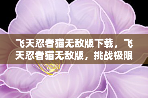 飞天忍者猫无敌版下载图片