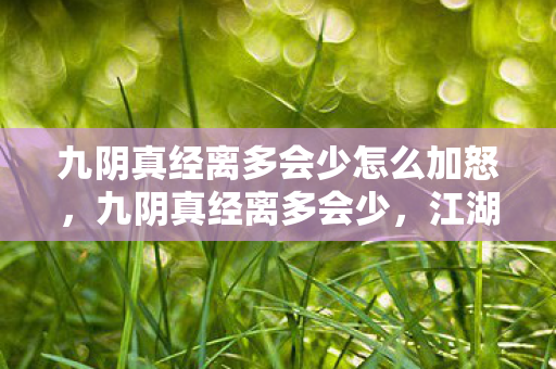 九阴真经离多会少怎么加怒图片