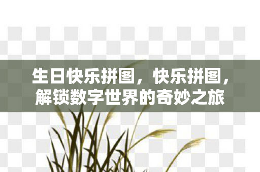 解锁数字世界的奇妙之旅图片