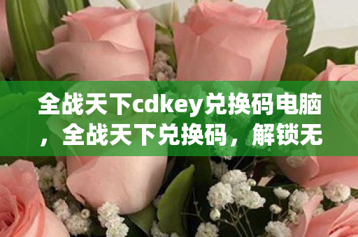 全战天下cdkey兑换码电脑，全战天下兑换码，解锁无限可能的策略游戏之旅