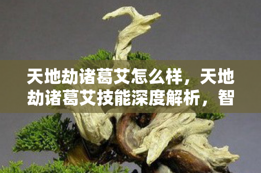 天地劫诸葛艾怎么样,天地劫诸葛艾技能深度解析,智谋与策略的完美结合 天地劫诸葛艾怎么样,天地劫诸葛艾技能深度解析,智谋与策略的完美结合