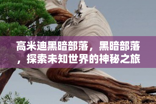 高米迪黑暗部落，黑暗部落，探索未知世界的神秘之旅