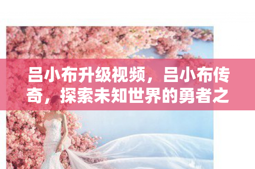 吕小布升级视频，吕小布传奇，探索未知世界的勇者之旅