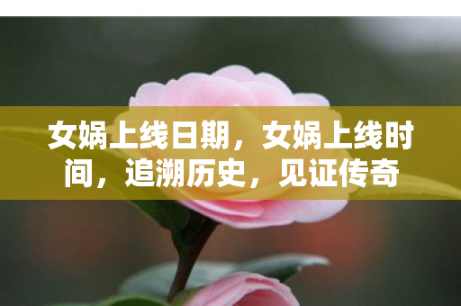 女娲上线日期，女娲上线时间，追溯历史，见证传奇