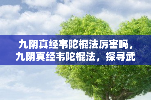 九阴真经韦陀棍法厉害吗图片