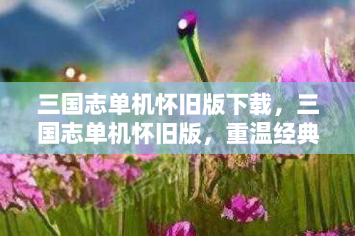 三国志单机怀旧版下载，三国志单机怀旧版，重温经典，感受历史