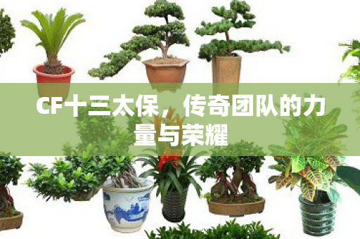 CF十三太保,传奇团队的力量与荣耀 CF十三太保,传奇团队的力量与荣耀