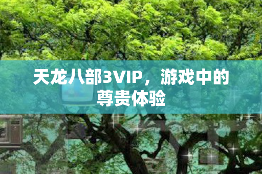 天龙八部3VIP,游戏中的尊贵体验 天龙八部3VIP,游戏中的尊贵体验