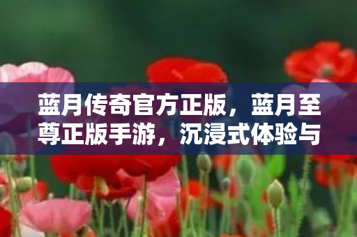 沉浸式体验与极致战斗图片