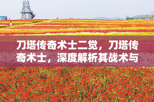 深度解析其战术与策略图片