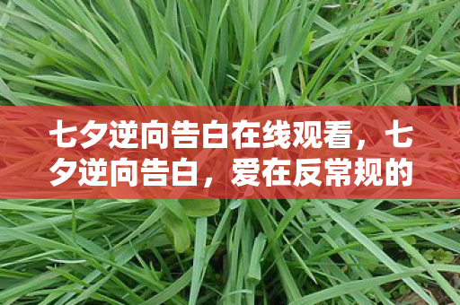 爱在反常规的轨迹上绽放图片