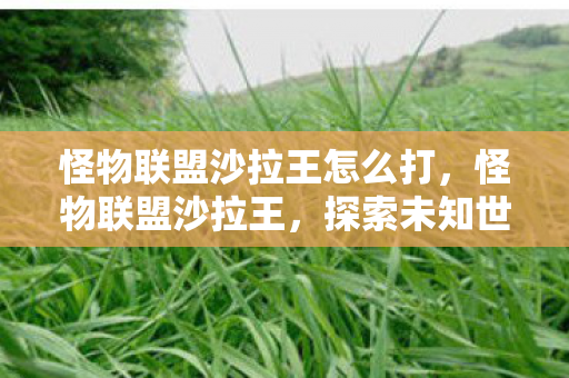 探索未知世界的奇妙冒险图片
