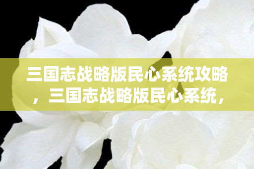 三国志战略版民心系统攻略,三国志战略版民心系统,深度解析与实战应用 三国志战略版民心系统攻略,三国志战略版民心系统,深度解析与实战应用