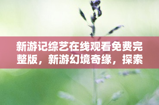 新游记综艺在线观看免费完整版图片