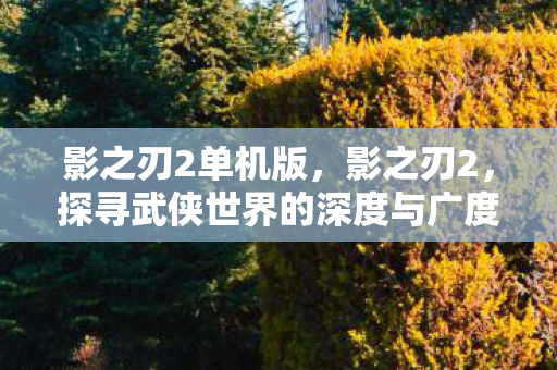 探寻武侠世界的深度与广度图片
