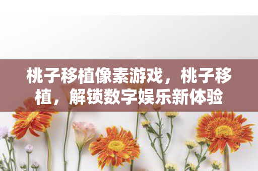 桃子移植像素游戏,桃子移植,解锁数字娱乐新体验 桃子移植像素游戏,桃子移植,解锁数字娱乐新体验